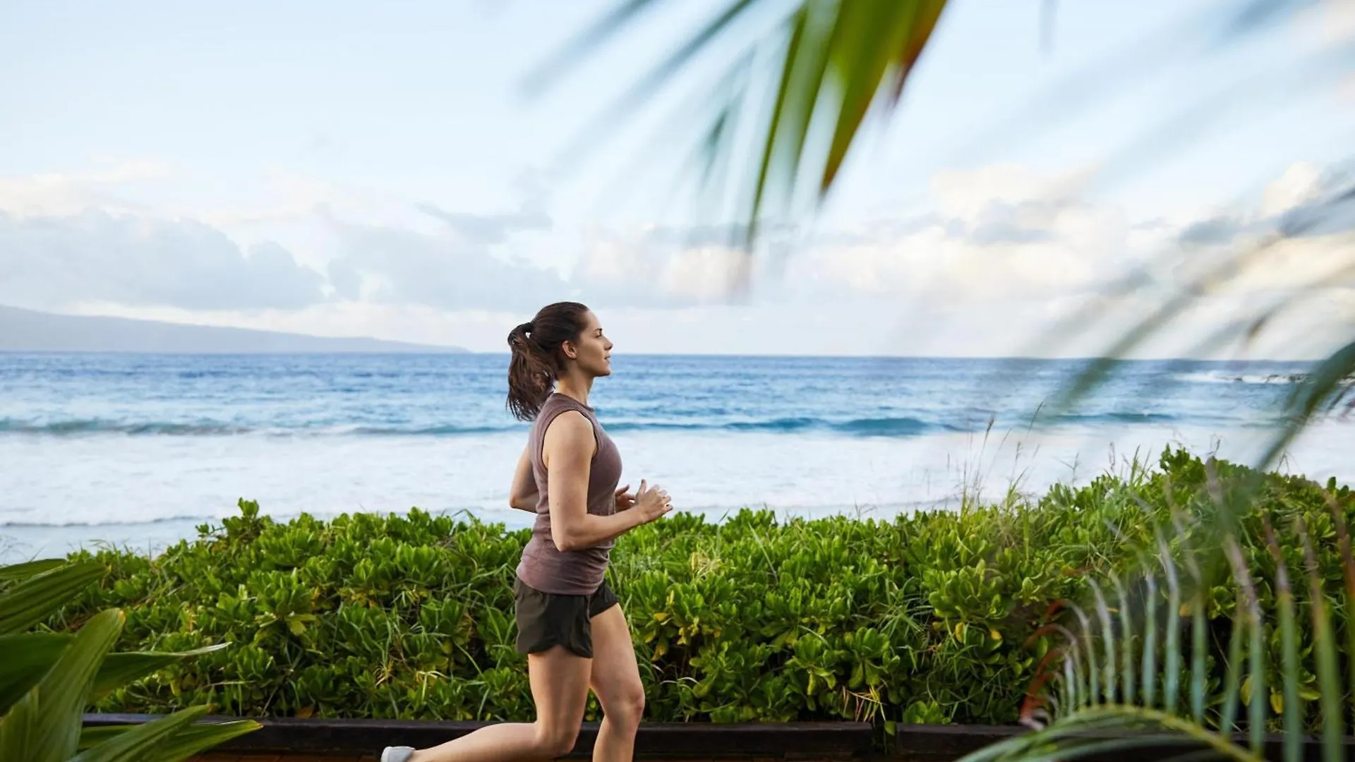 להיינה The Westin Maui Resort & Spa, Ka'Anapali ארצות הברית