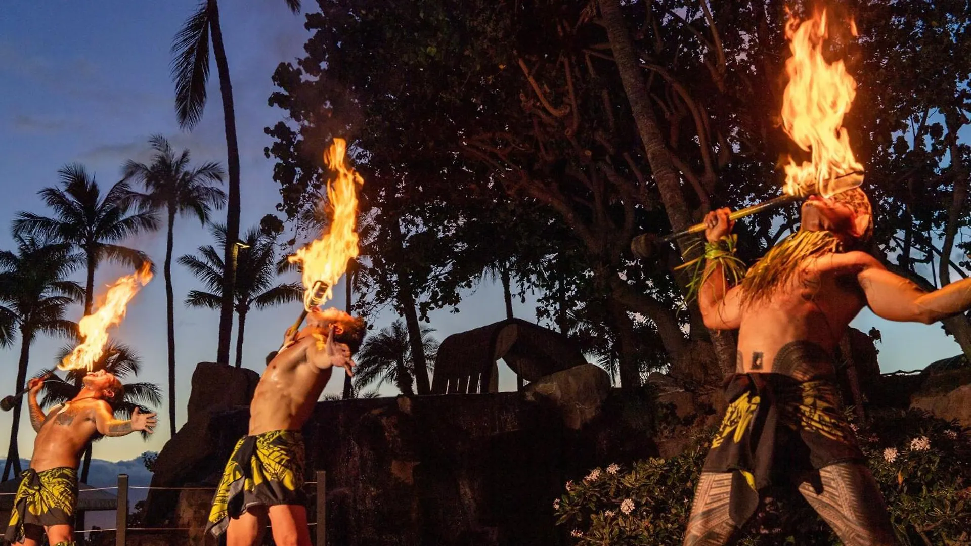 ****  The Westin Maui Resort & Spa, Ka'Anapali Lahaina États-Unis